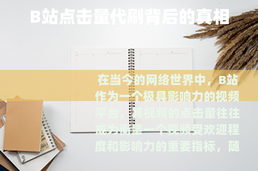 B站点击量代刷背后的真相