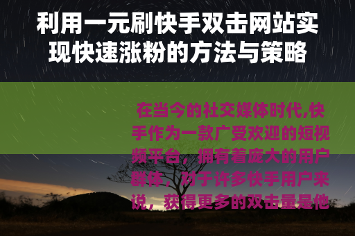 利用一元刷快手双击网站实现快速涨粉的方法与策略