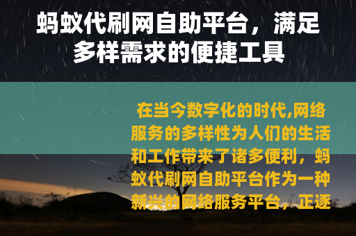 蚂蚁代刷网自助平台，满足多样需求的便捷工具