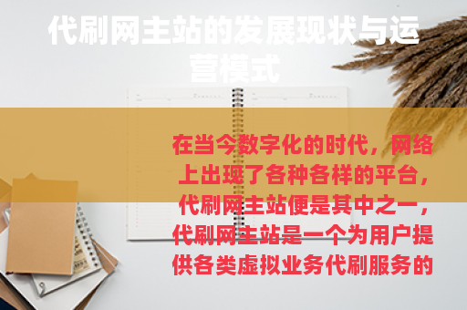 代刷网主站的发展现状与运营模式