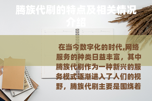 腾族代刷的特点及相关情况介绍