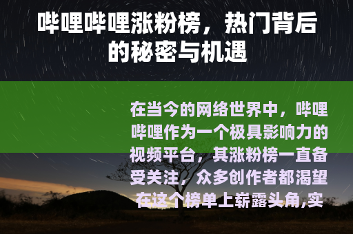 哔哩哔哩涨粉榜，热门背后的秘密与机遇