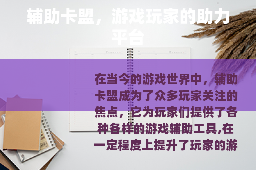 辅助卡盟，游戏玩家的助力平台