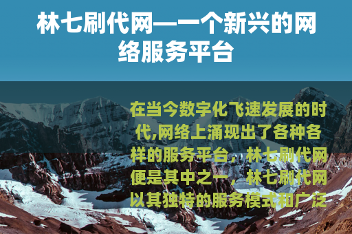 林七刷代网—一个新兴的网络服务平台