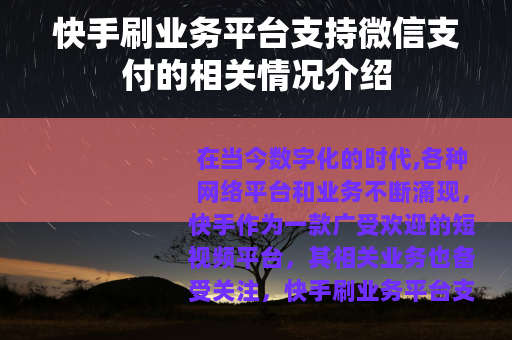 快手刷业务平台支持微信支付的相关情况介绍