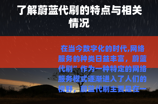 了解蔚蓝代刷的特点与相关情况