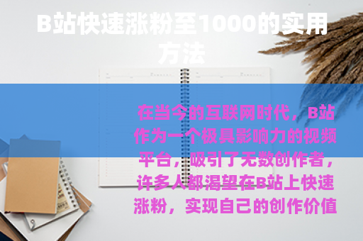 B站快速涨粉至1000的实用方法