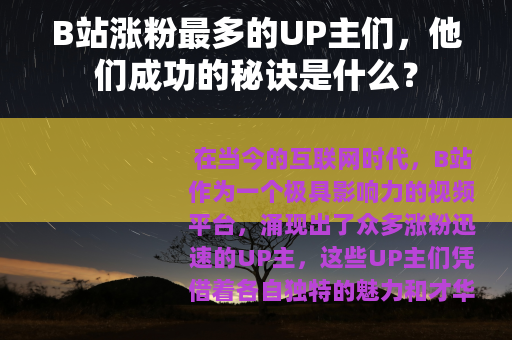B站涨粉最多的UP主们，他们成功的秘诀是什么？