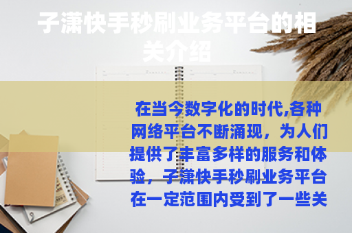 子潇快手秒刷业务平台的相关介绍
