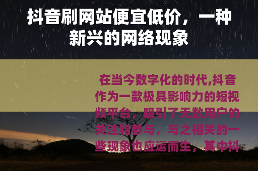 抖音刷网站便宜低价，一种新兴的网络现象