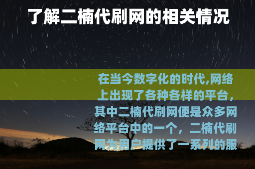 了解二楠代刷网的相关情况