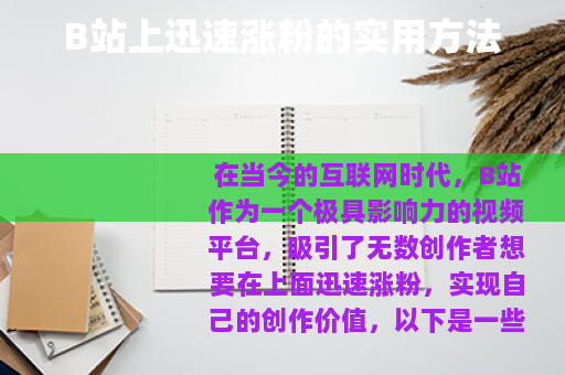 B站上迅速涨粉的实用方法