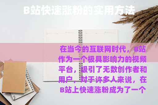 B站快速涨粉的实用方法