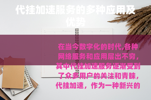 代挂加速服务的多种应用及优势