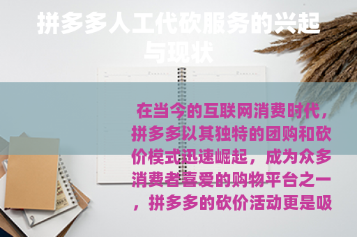 拼多多人工代砍服务的兴起与现状