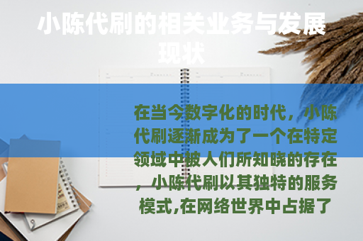 小陈代刷的相关业务与发展现状