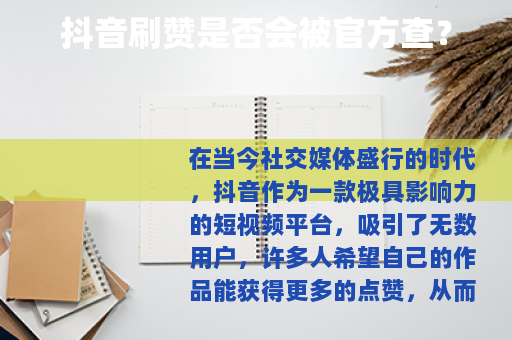 抖音刷赞是否会被官方查？
