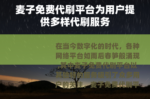 麦子免费代刷平台为用户提供多样代刷服务