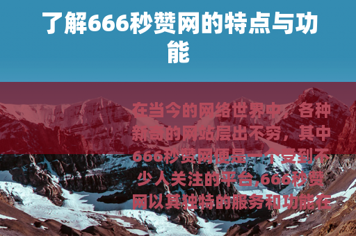 了解666秒赞网的特点与功能