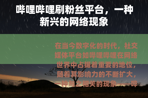 哔哩哔哩刷粉丝平台，一种新兴的网络现象
