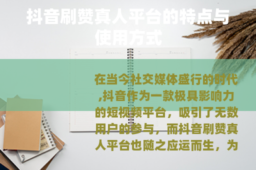 抖音刷赞真人平台的特点与使用方式