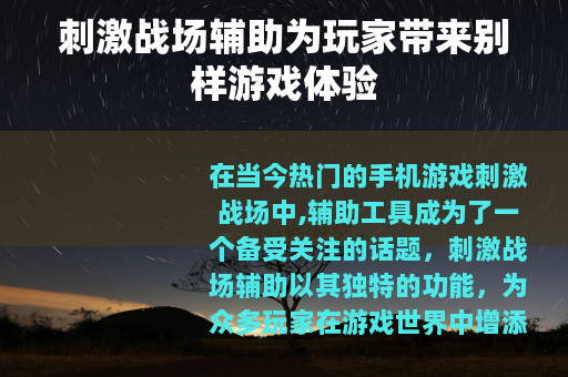 刺激战场辅助为玩家带来别样游戏体验