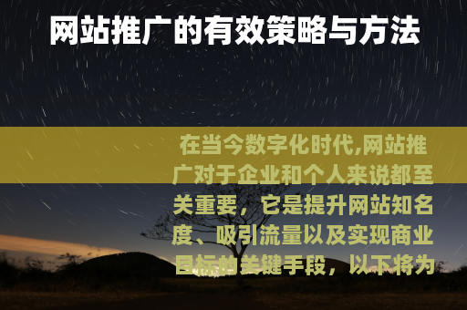 网站推广的有效策略与方法