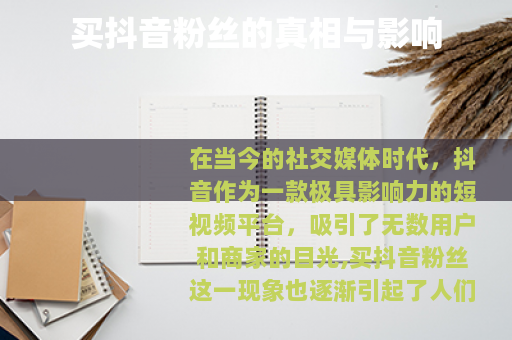 买抖音粉丝的真相与影响