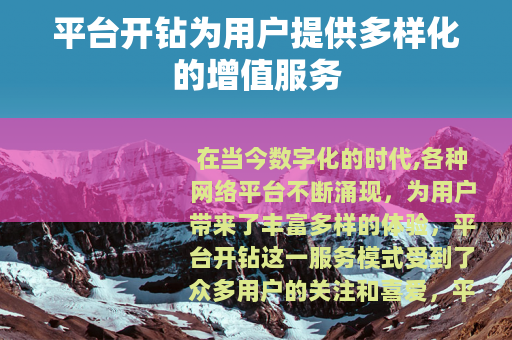 平台开钻为用户提供多样化的增值服务