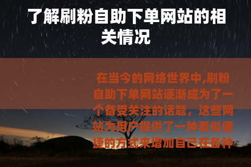 了解刷粉自助下单网站的相关情况