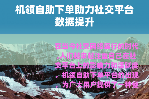 机领自助下单助力社交平台数据提升