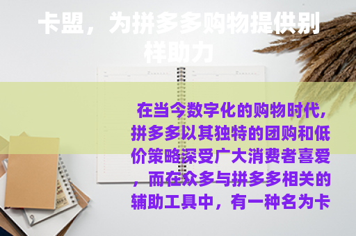 卡盟，为拼多多购物提供别样助力