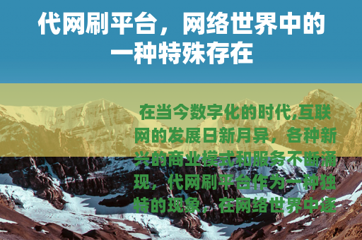 代网刷平台，网络世界中的一种特殊存在