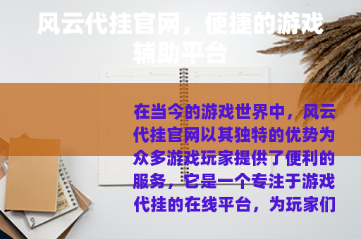 风云代挂官网，便捷的游戏辅助平台