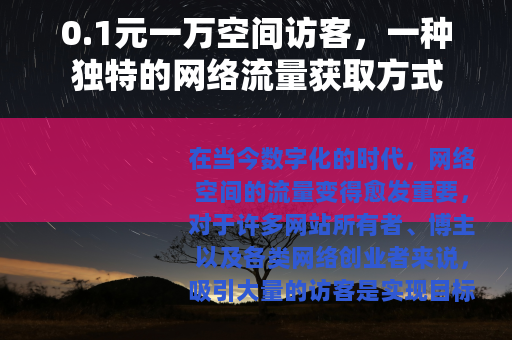 0.1元一万空间访客，一种独特的网络流量获取方式