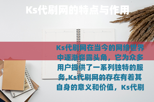 Ks代刷网的特点与作用