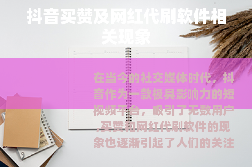 抖音买赞及网红代刷软件相关现象