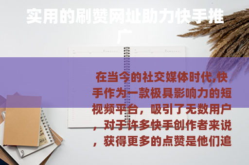 实用的刷赞网址助力快手推广