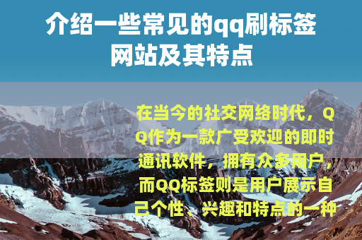 介绍一些常见的qq刷标签网站及其特点
