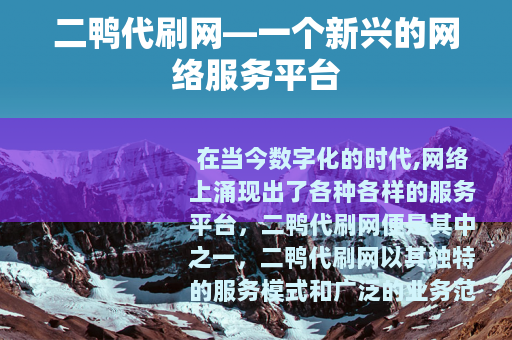 二鸭代刷网—一个新兴的网络服务平台