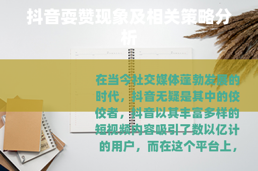 抖音耍赞现象及相关策略分析
