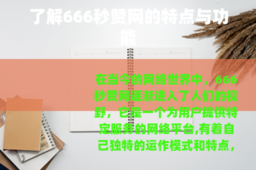 了解666秒赞网的特点与功能