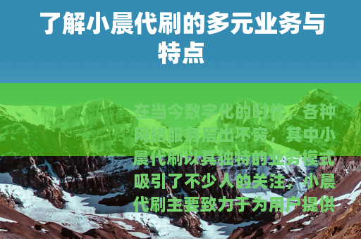 了解小晨代刷的多元业务与特点