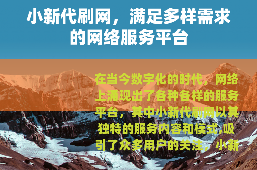 小新代刷网，满足多样需求的网络服务平台