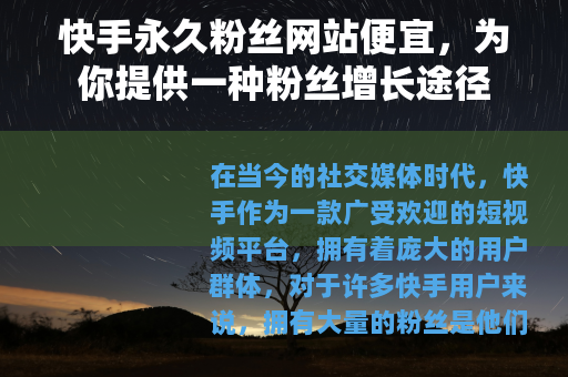 快手永久粉丝网站便宜，为你提供一种粉丝增长途径