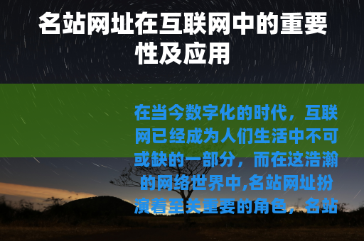名站网址在互联网中的重要性及应用