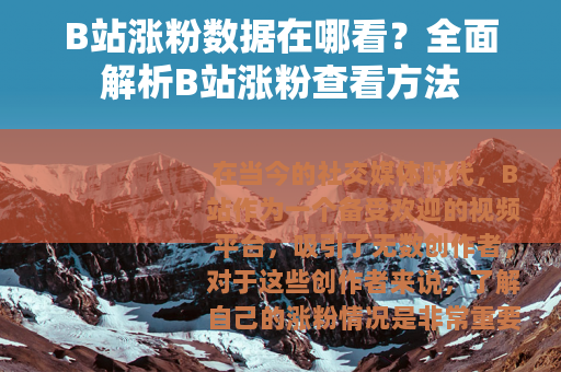 B站涨粉数据在哪看？全面解析B站涨粉查看方法