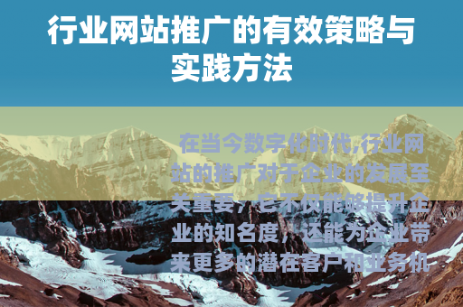 行业网站推广的有效策略与实践方法
