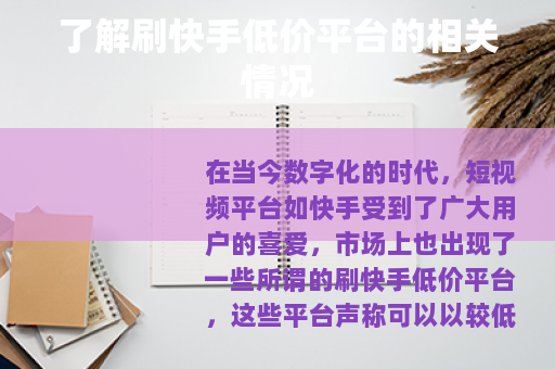 了解刷快手低价平台的相关情况