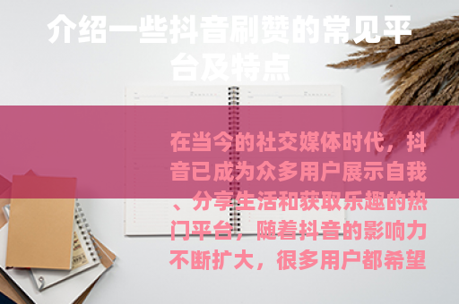 介绍一些抖音刷赞的常见平台及特点